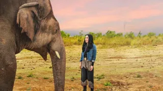 Cher and the Loneliest Elephant (2021) Full Movie - HD 720p
