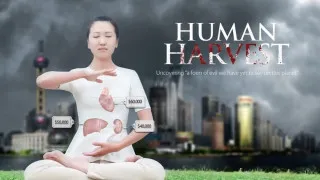 Human Harvest (2014) Full Movie - HD 720p