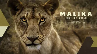 Malika the Lion Queen (2021) Full Movie - HD 720p