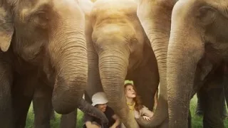 Naledi A Baby Elephant's Tale (2016) Full Movie - HD 1080p BluRay