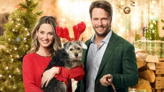 Picture Perfect Royal Christmas (2020) Full Movie - HD 720p