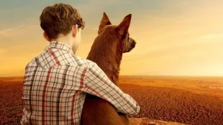 Red Dog True Blue (2016) Full Movie - HD 1080p BluRay