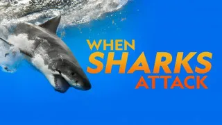 Worlds Biggest Bull Shark (2021) Full Movie - HD 720p
